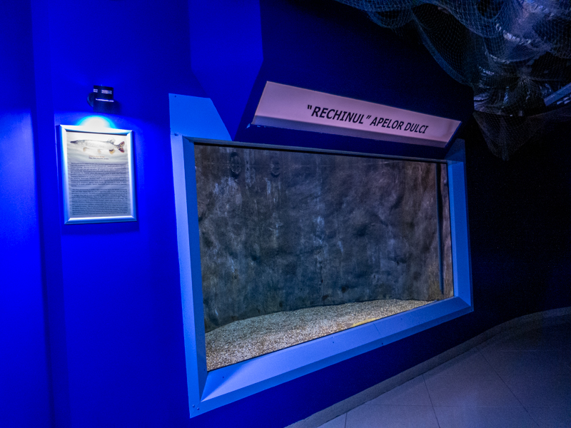 tank of Northern Pike