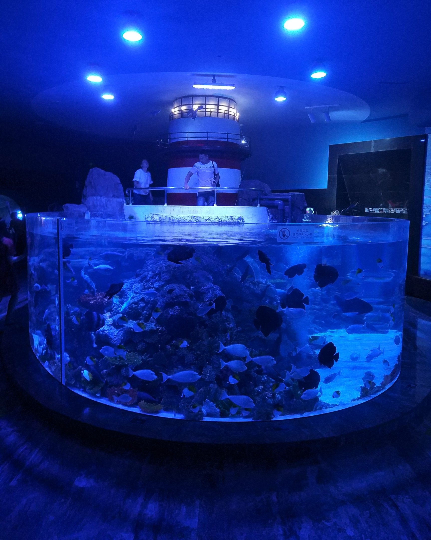 Tank with Boat Viewing Platform