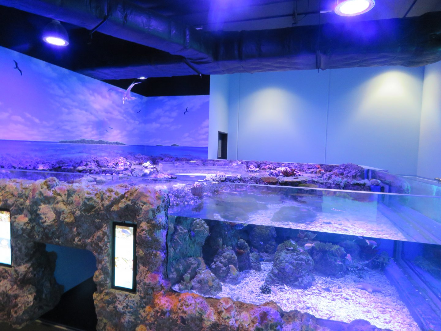 Tank with pop up area in the middle