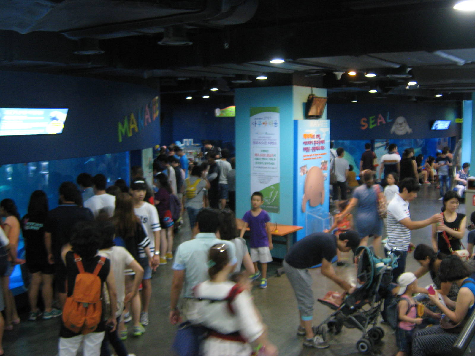 tanks for African manatees and harbour seals