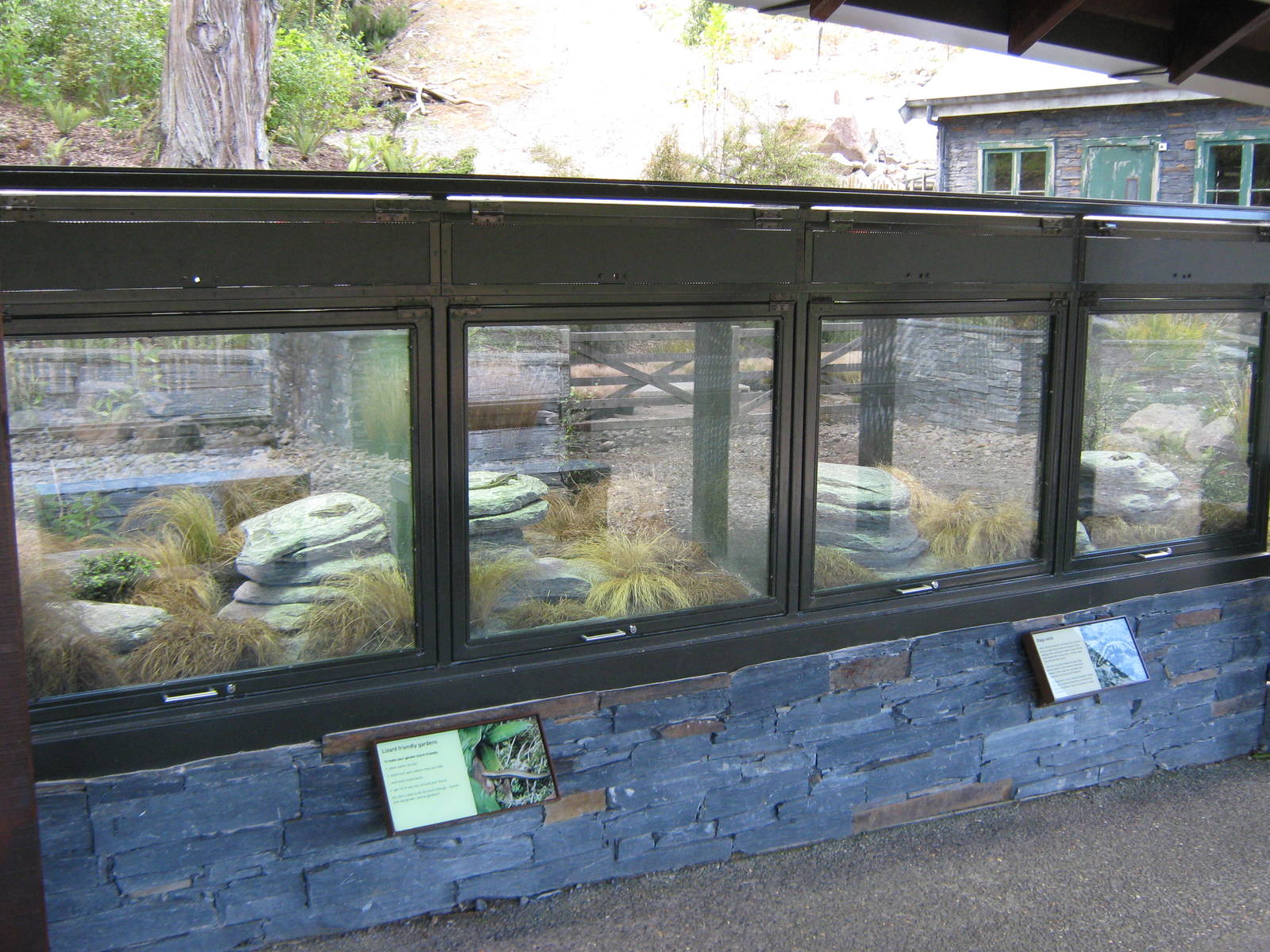 tanks for Otago skinks (Oligosoma otagense)