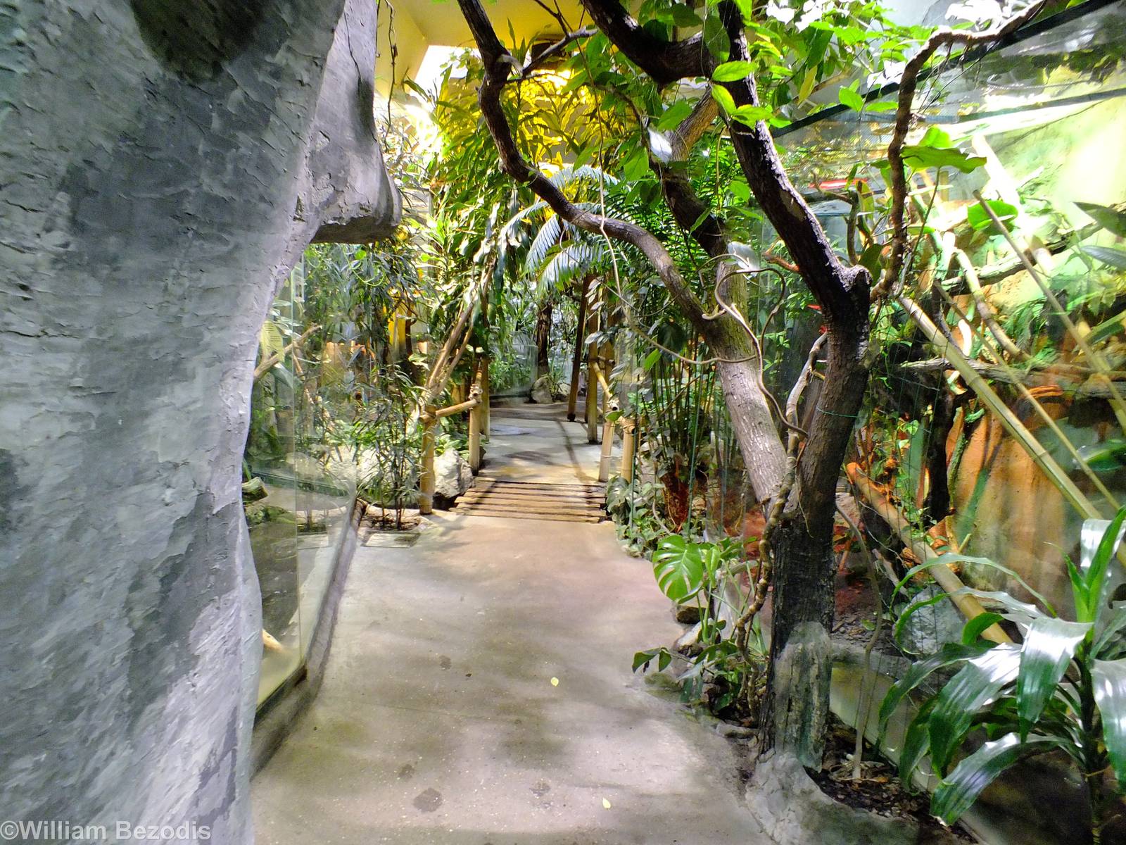 Tanks for Tropical Reptiles in Cold-blooded Animals Pavilion