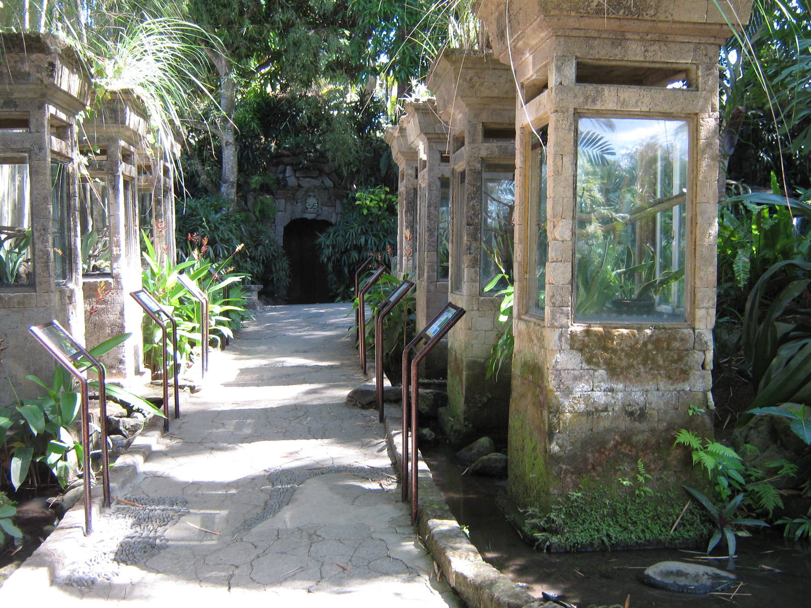 tanks holding baby green tree pythons