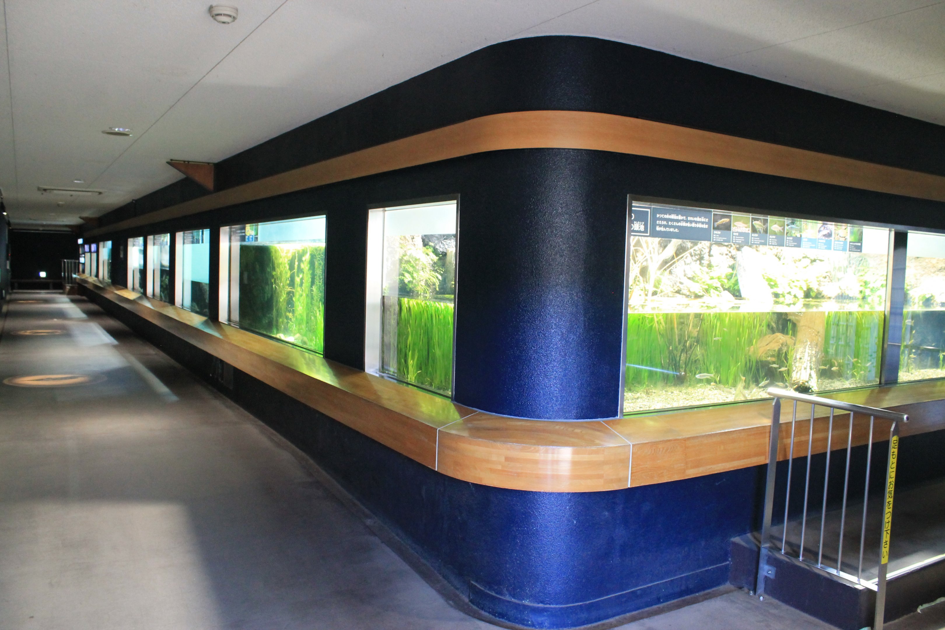 tanks in Aquatic Life Building