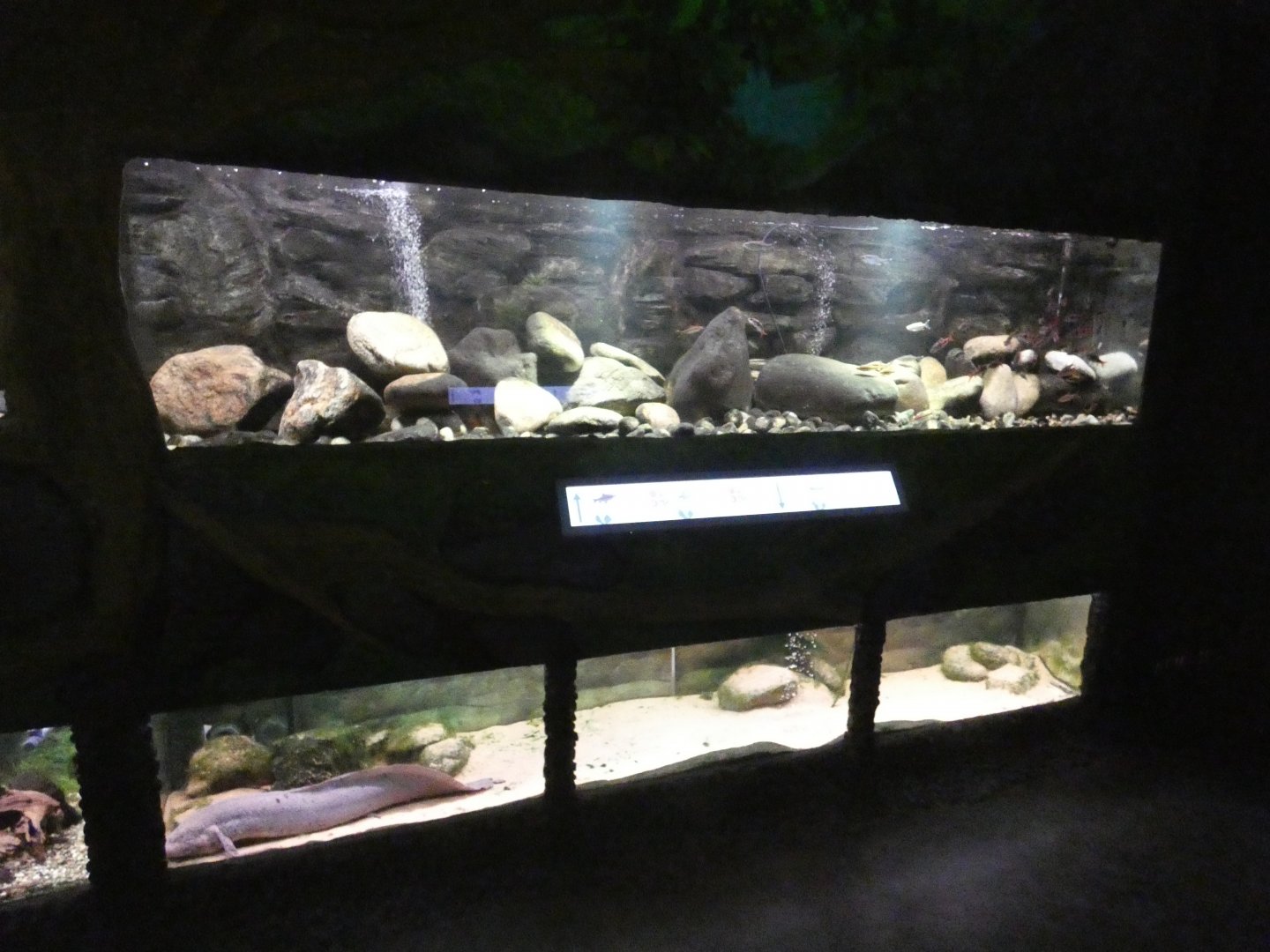 Tanks in tropical area