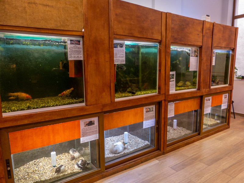 tanks of mammals and fish