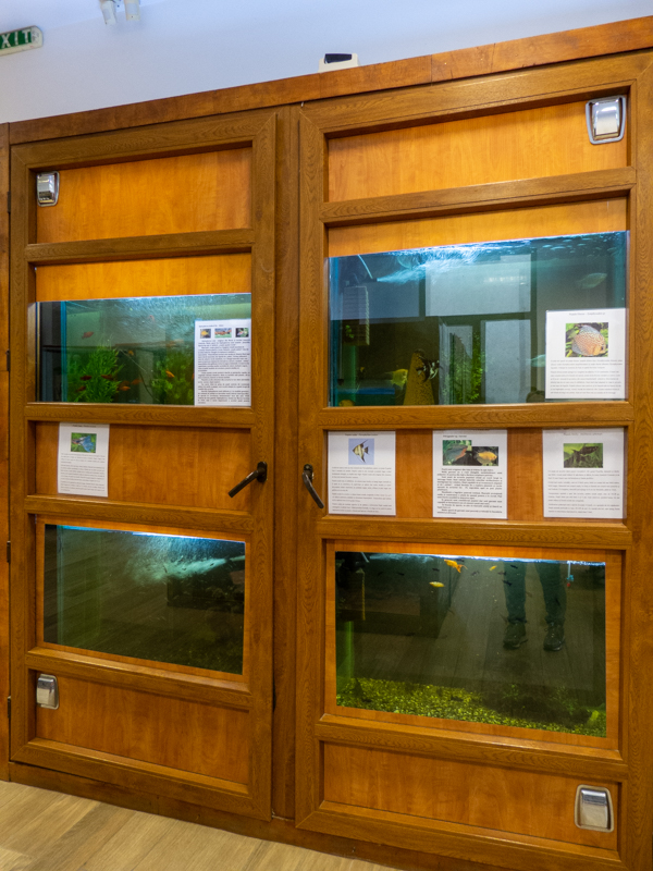 tanks of reptiles and fish