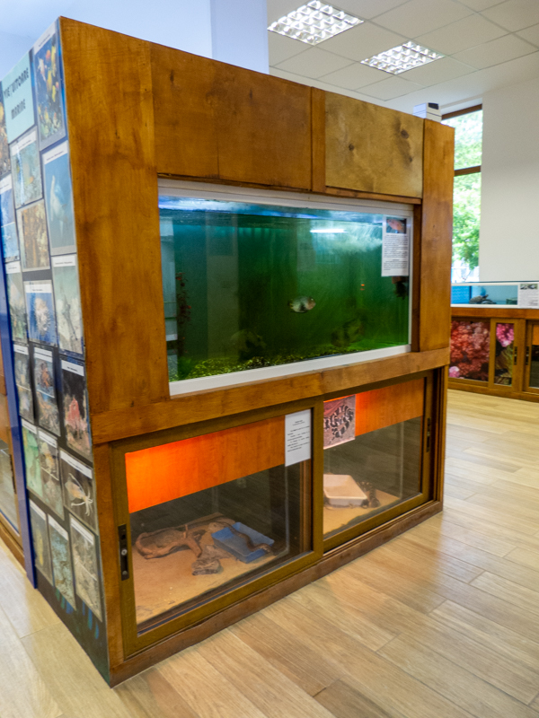 tanks of reptiles and fish