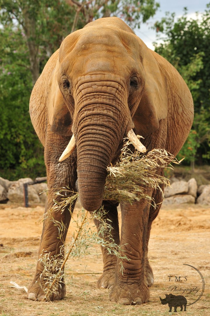 Tanya enjoying a evening meal