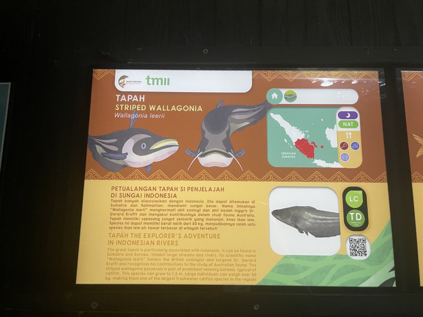 tapah signage - dunia air tawar