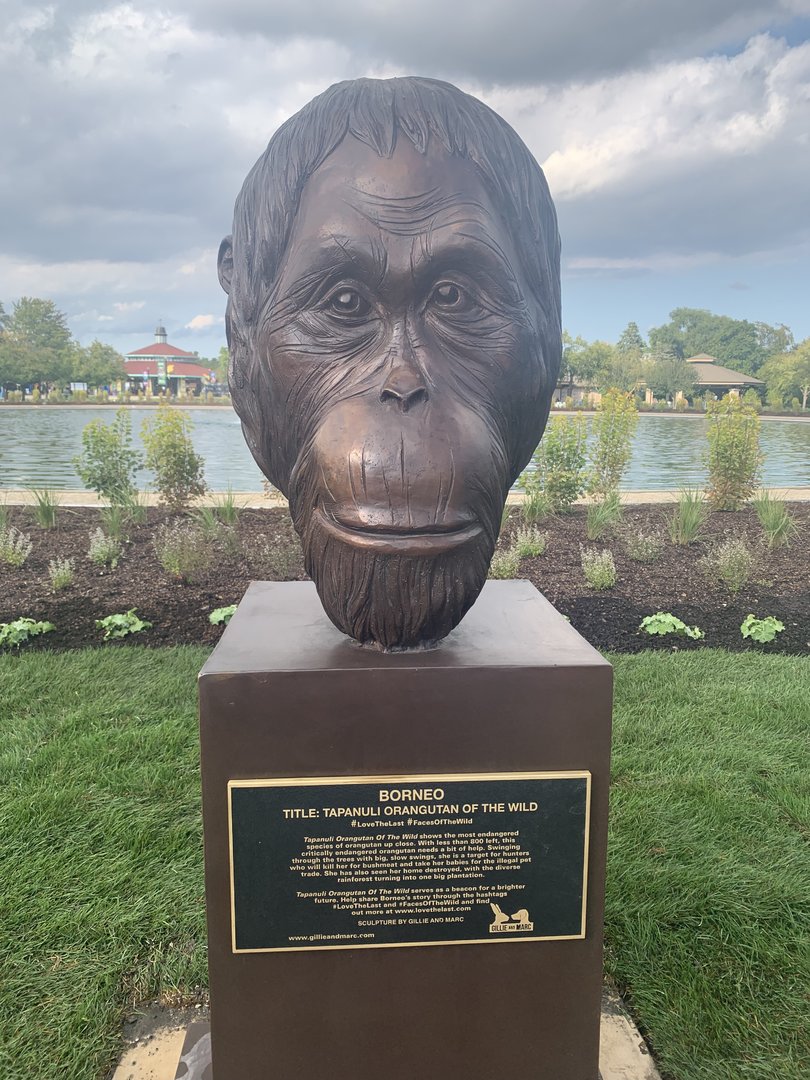 Tapanuli orangutan sculpture