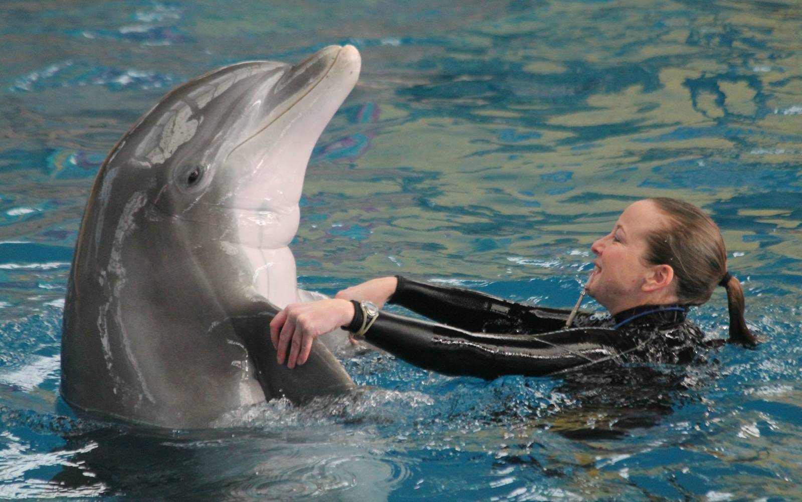 Tapeko and keeper - 1/24/16