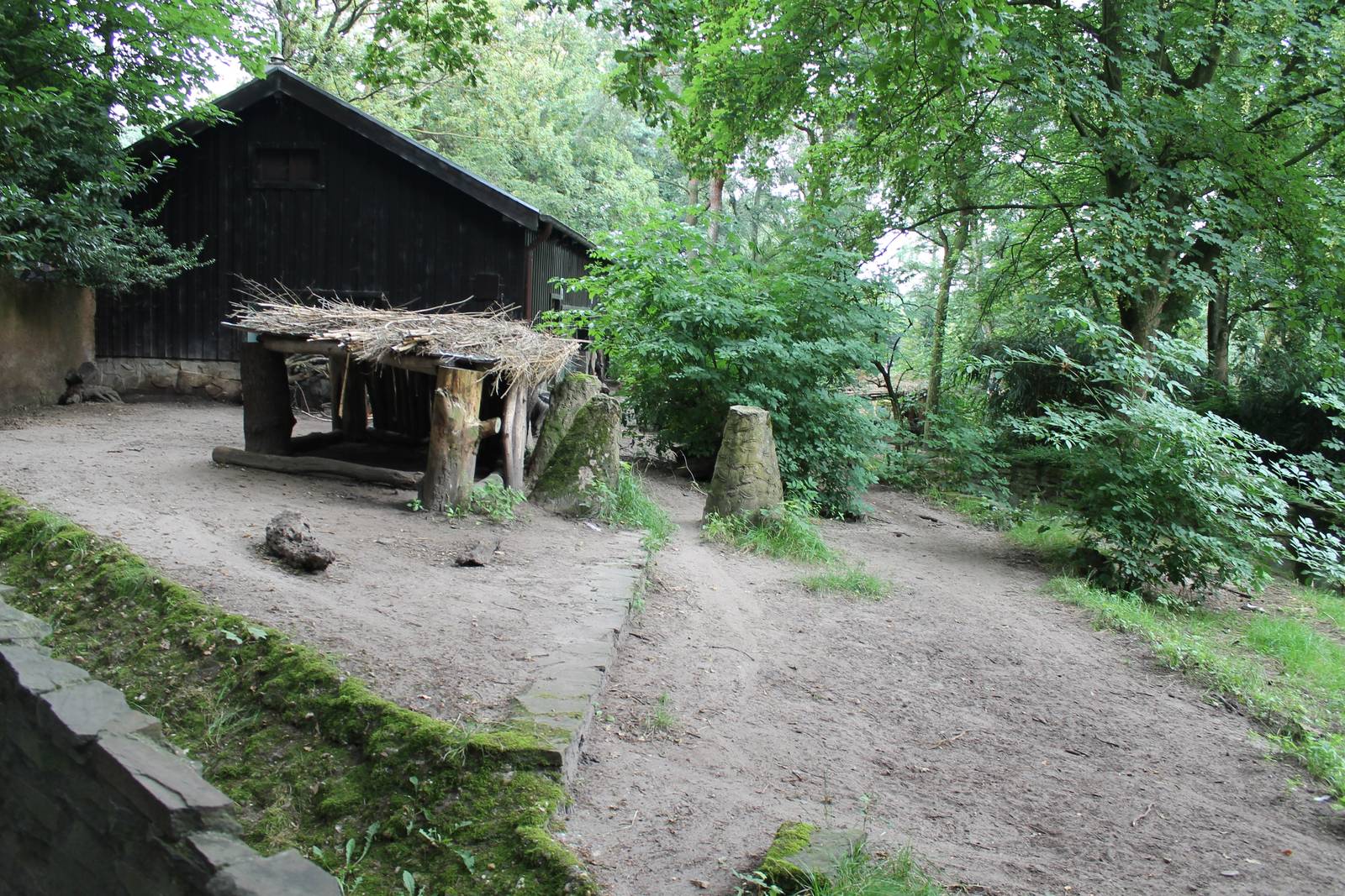 Tapir and Anteater enclosure