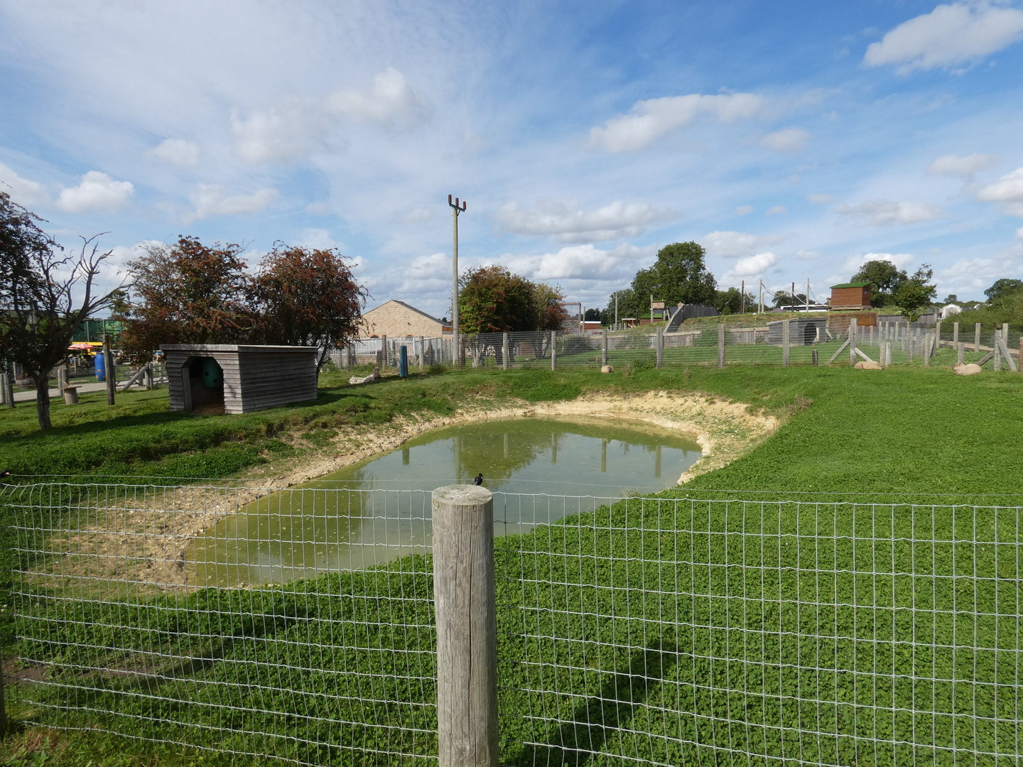 Tapir and capybara enclosure