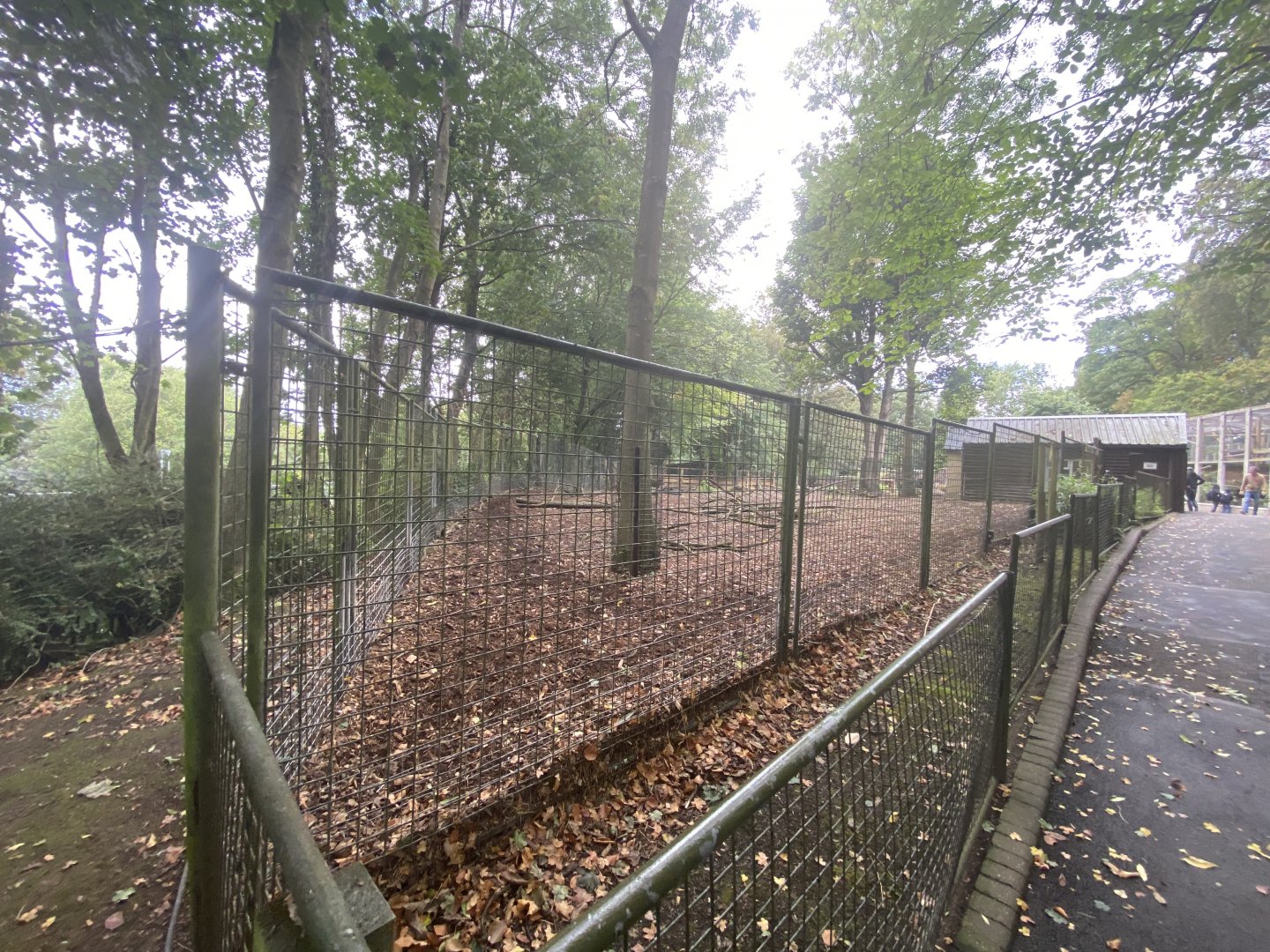 Tapir and capybara enclosure