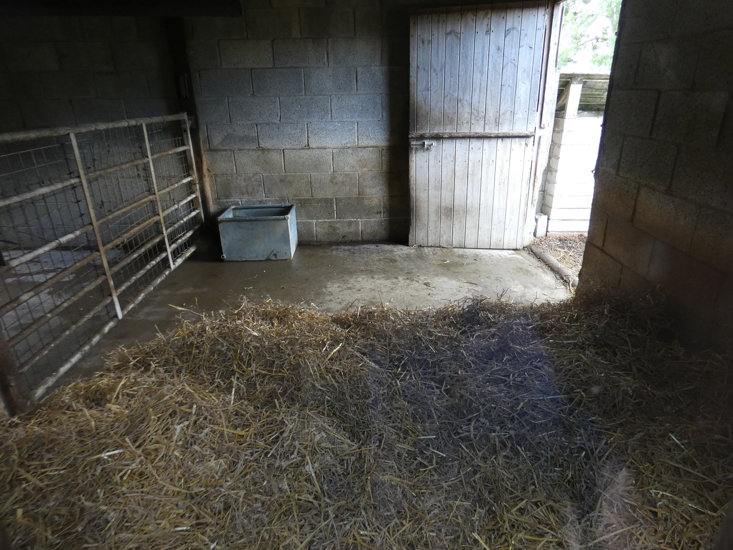 Tapir and Capybara indoor enclosure