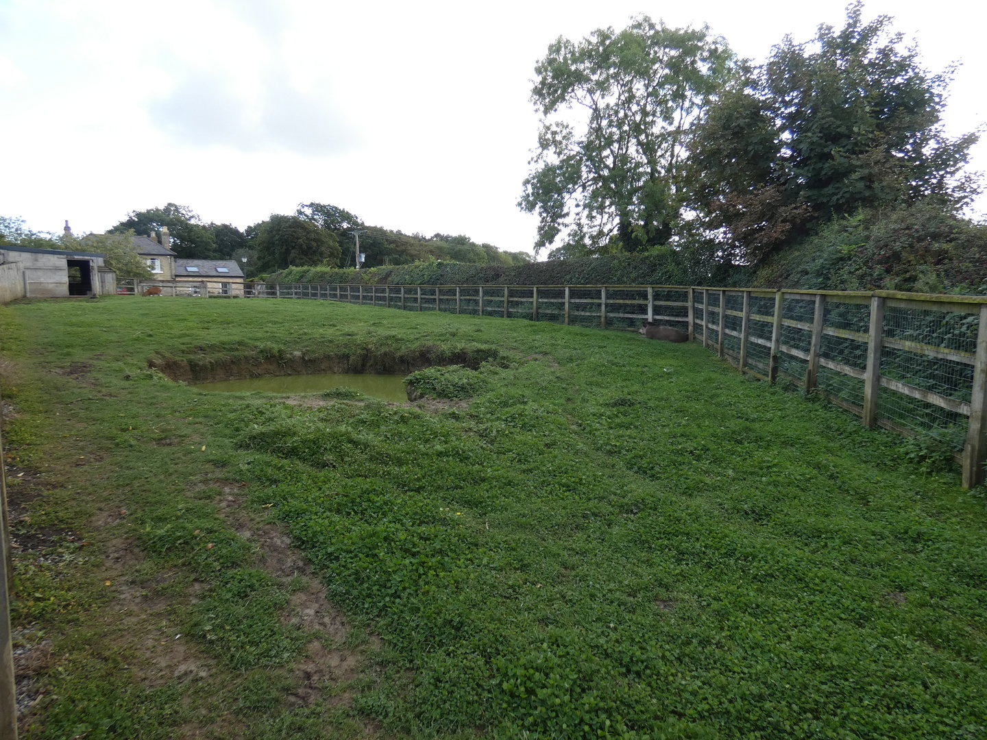 Tapir and Capybara outdoor enclosure
