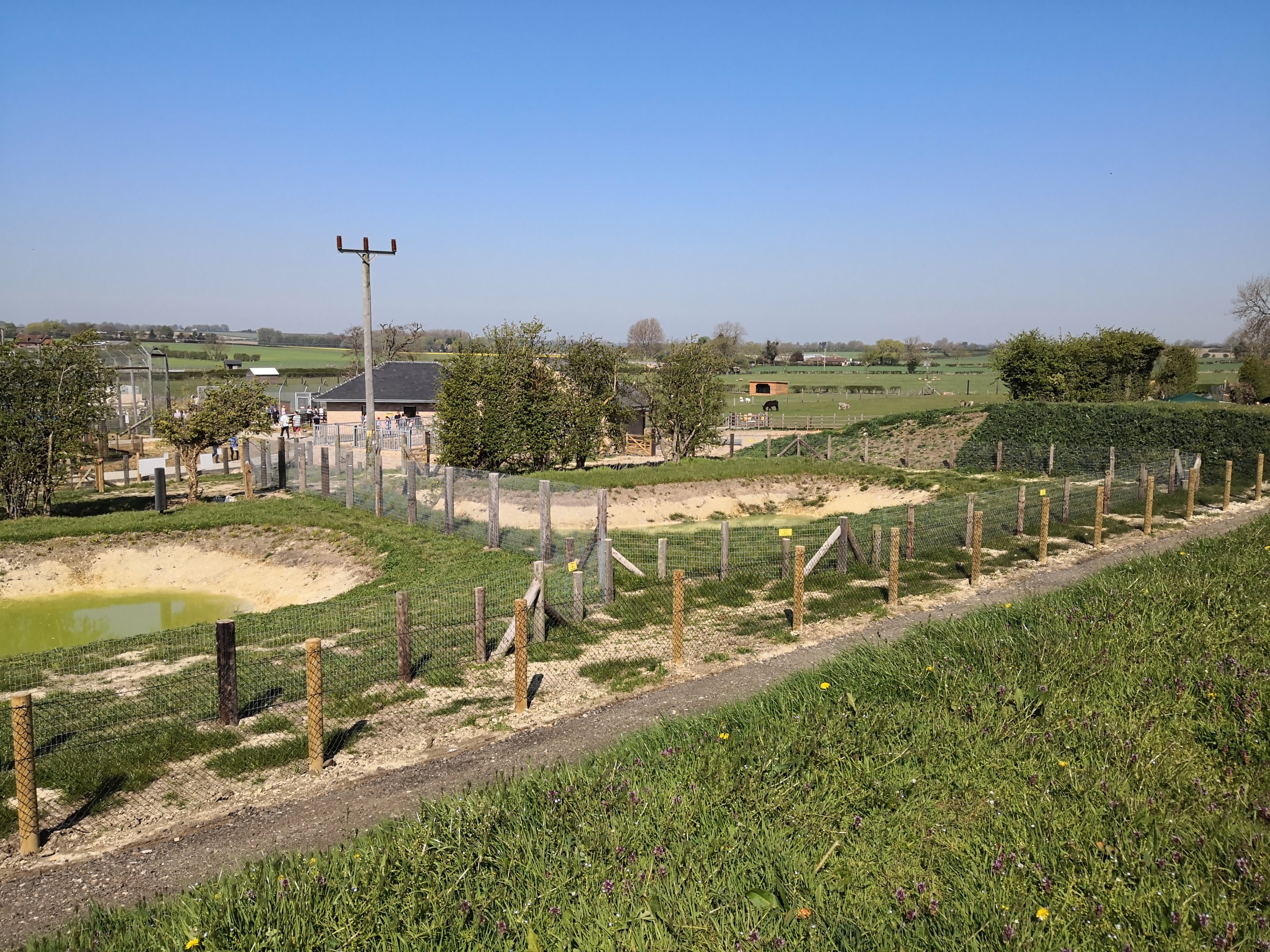 Tapir and capybara paddocks