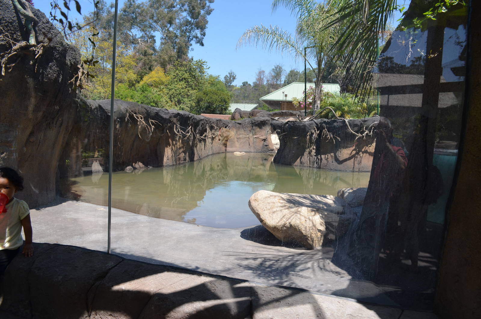 Tapir And Tamarin Habitat Lower Viewing Area