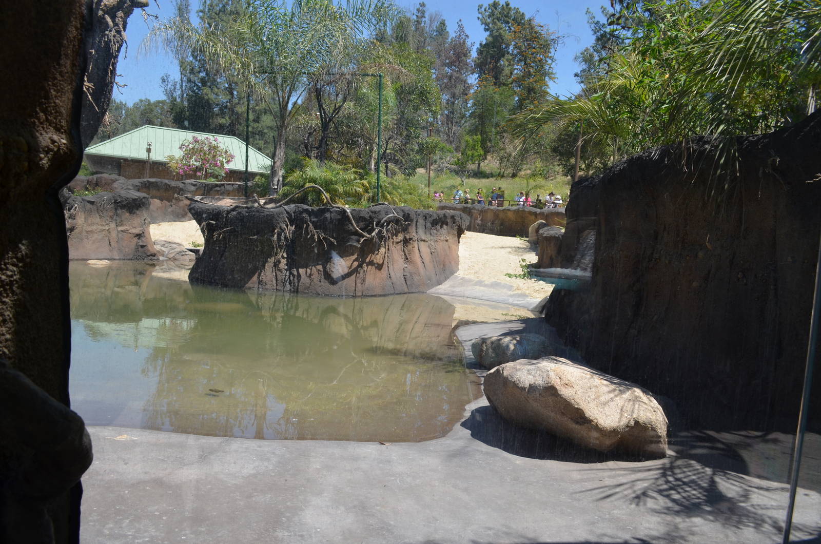 Tapir And Tamarin Habitat Lower Viewing Area