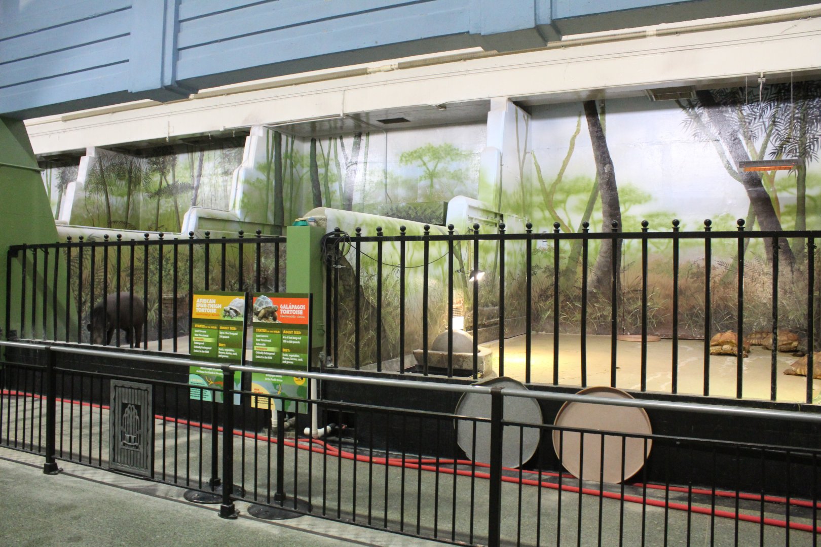 Tapir and Tortoise Indoor Exhibits - Pachyderm House