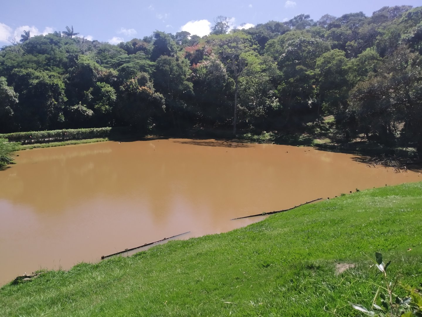 Tapir and waterfowl exhibit