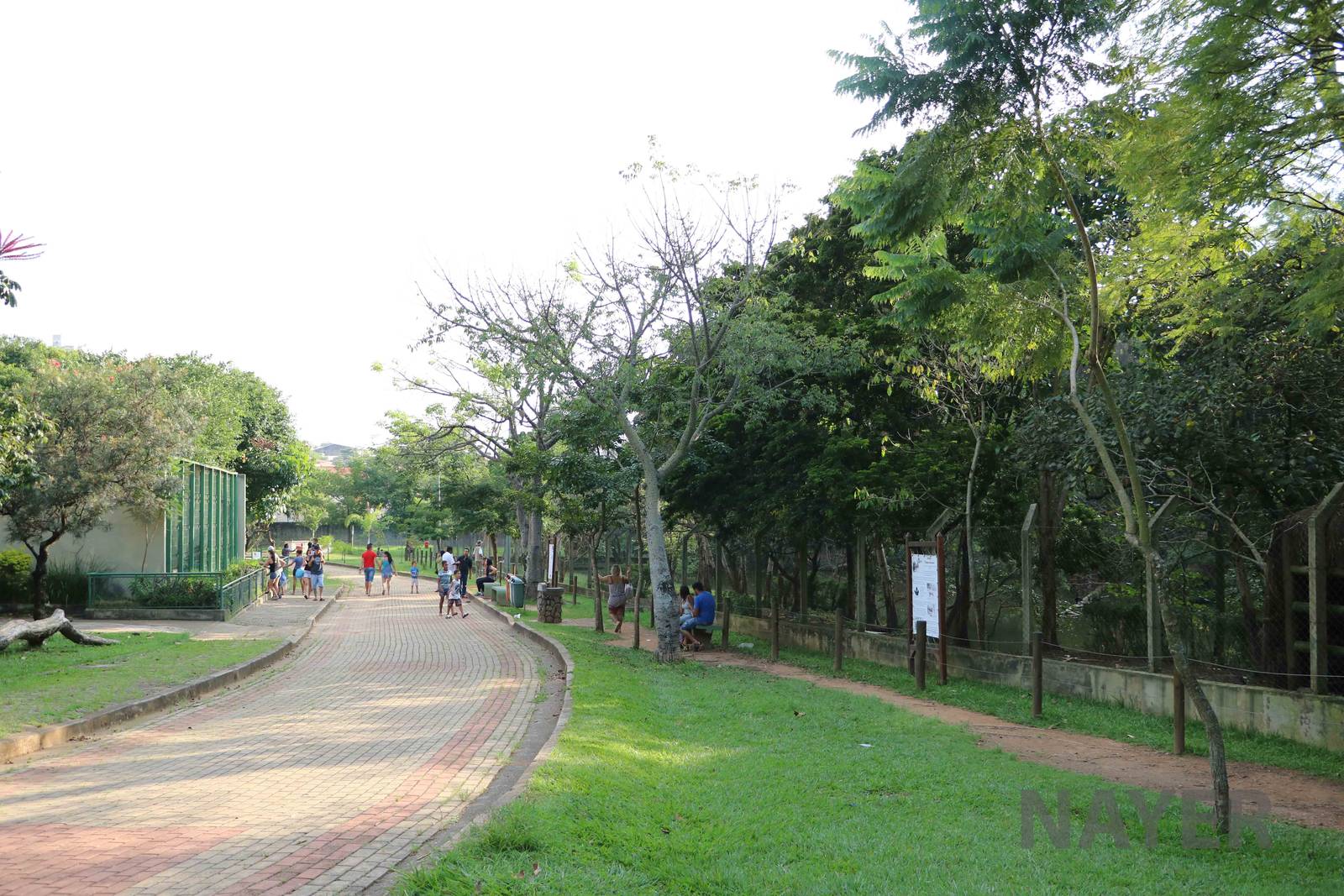 Tapir & caiman lakes viewing area, April 2016