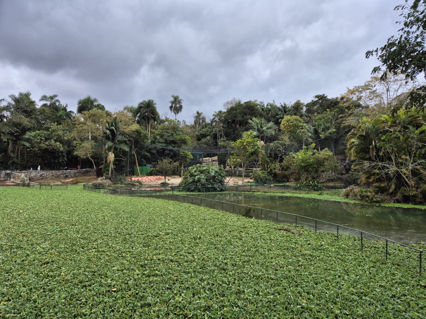 Tapir/ Capibara exhibit