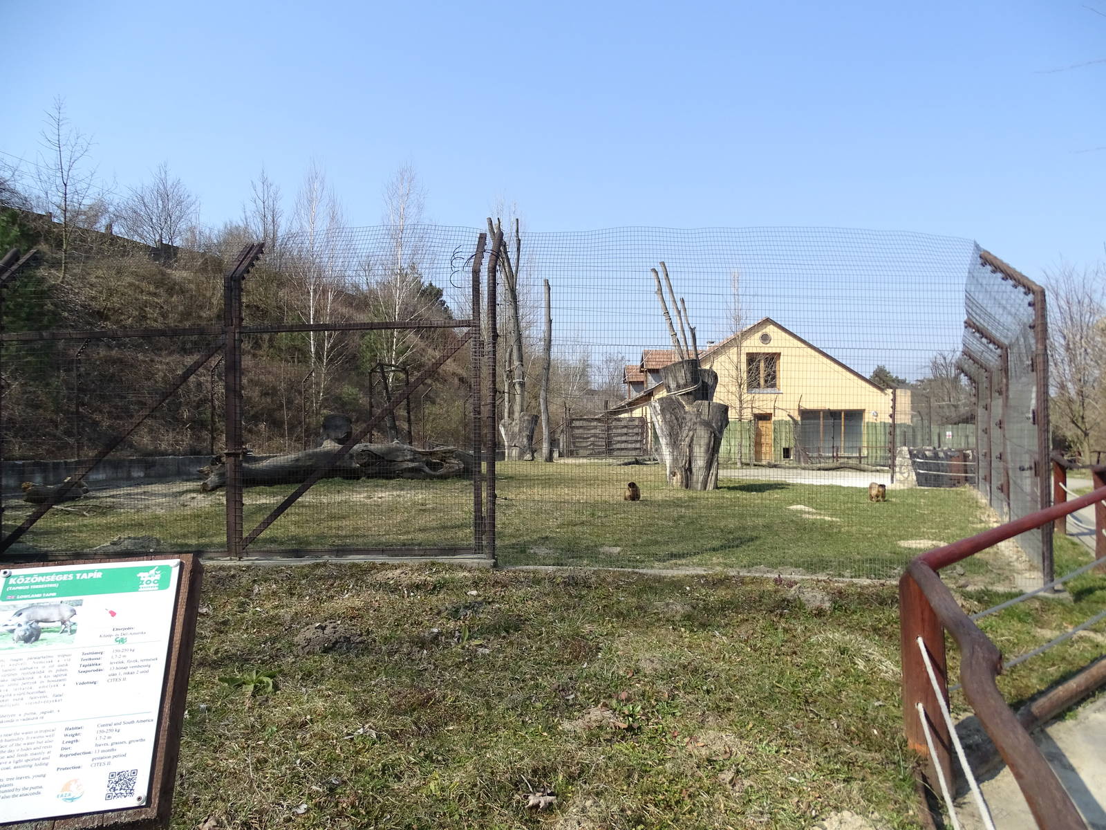 Tapir / capuchin enclosure