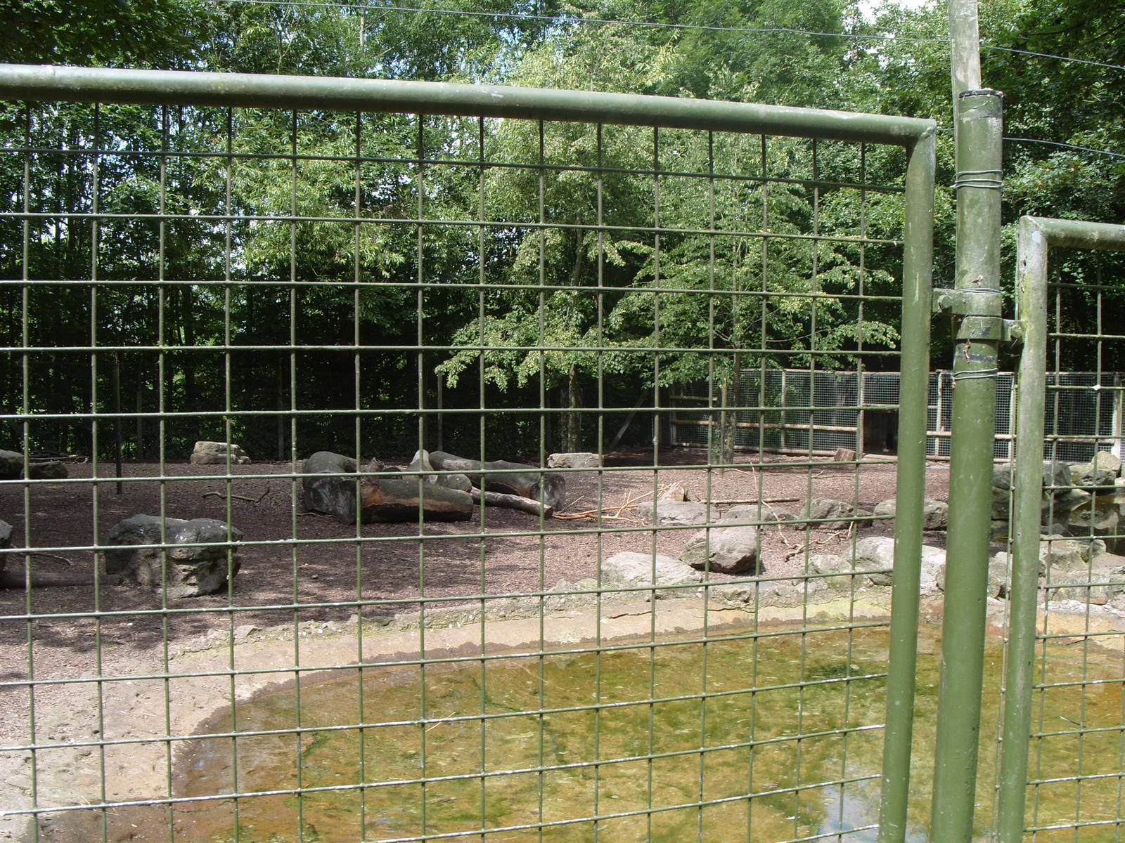 TAPIR, CAPYBARA AND MARA ENCLOSURE
