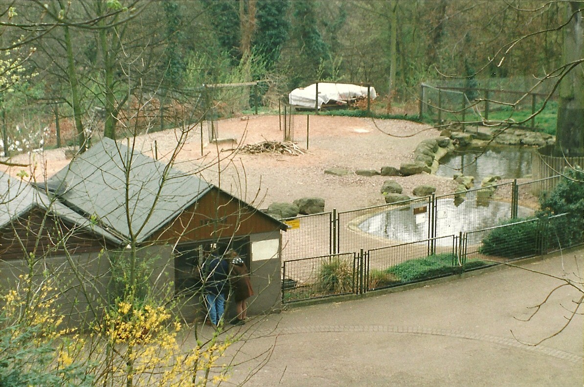 Tapir, Capybara and Patagonian Cavy exhibit 5th April 1997