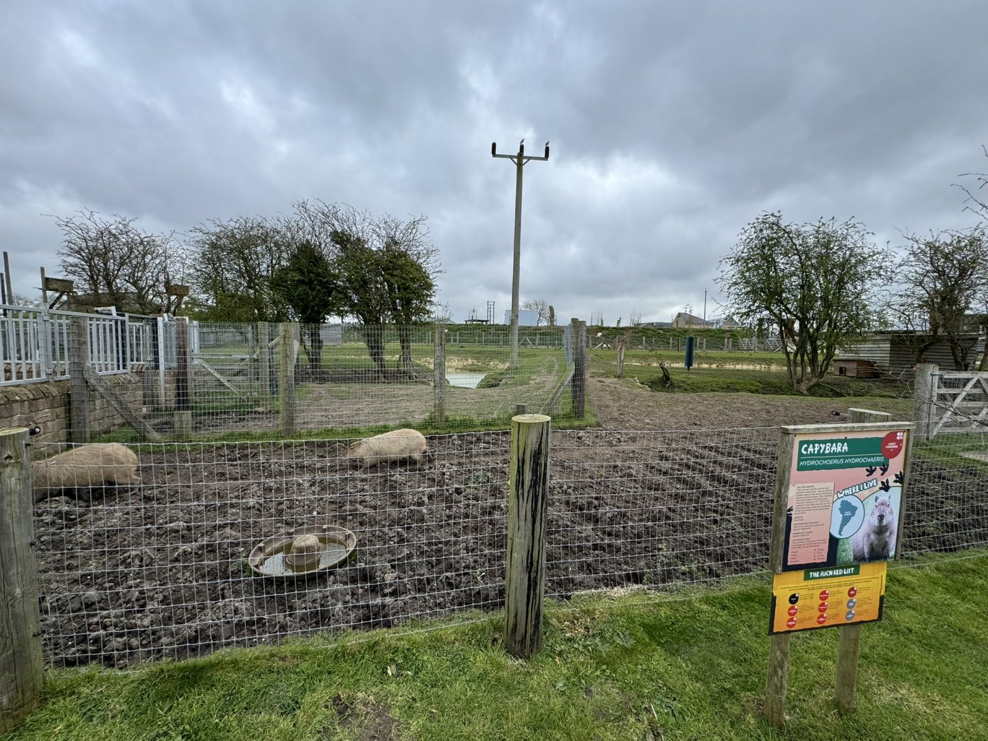 Tapir / Capybara Enclosure at Wolds Wildlife Park (March 2024)
