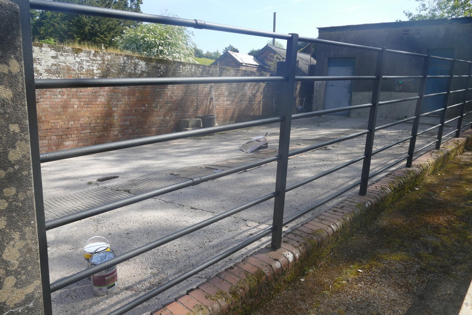 Tapir/capybara enclosure, May 2019