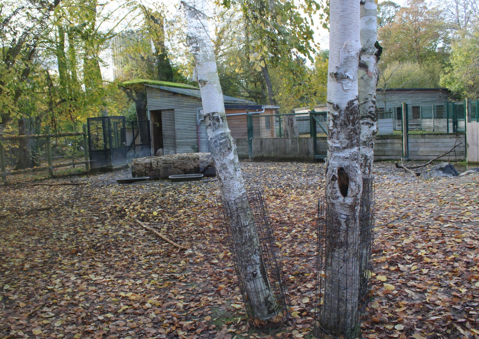 Tapir - Capybara enclosure