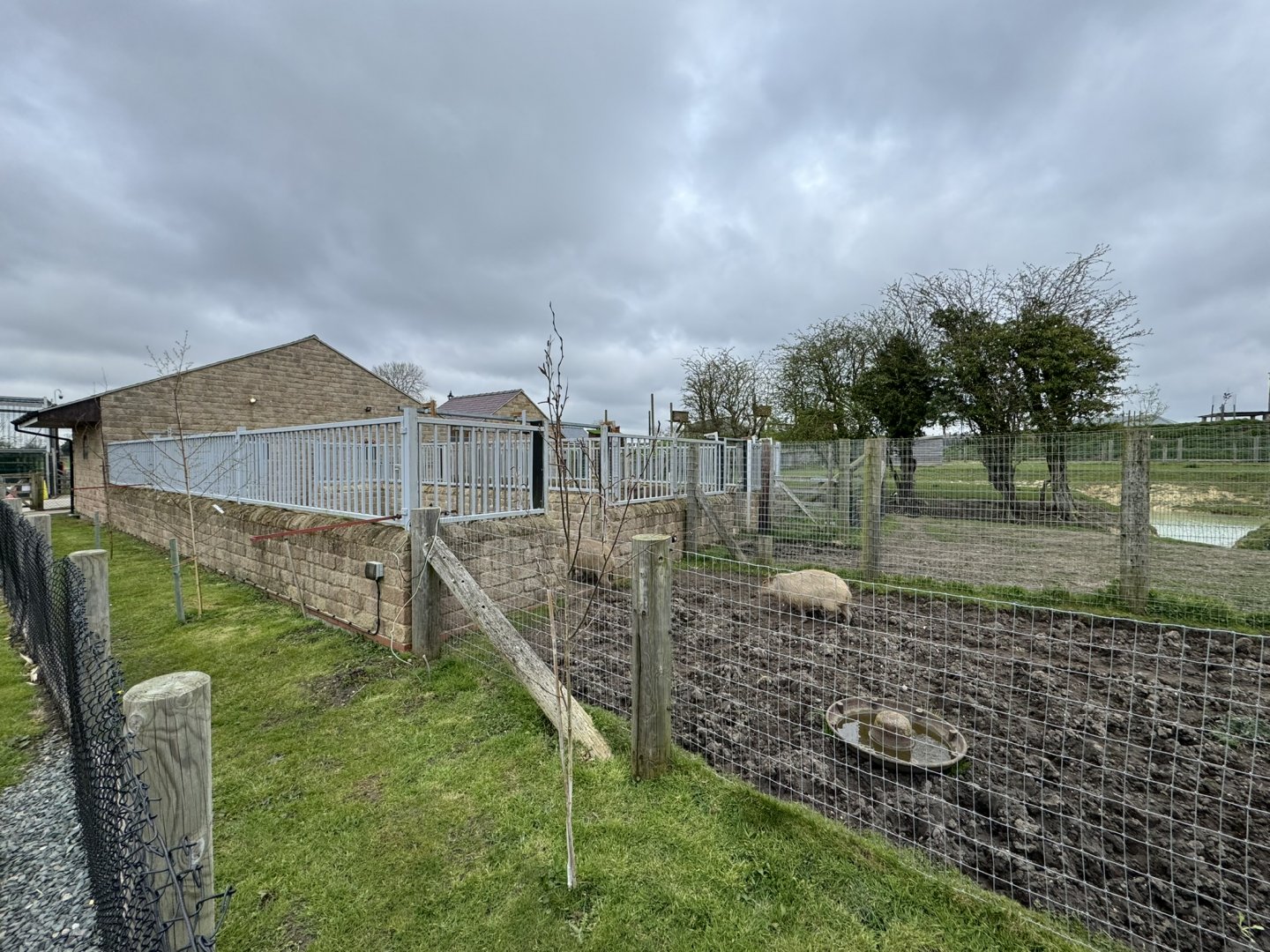 Tapir / Capybara Holding Areas at Wolds Wildlife Park (March 2024)