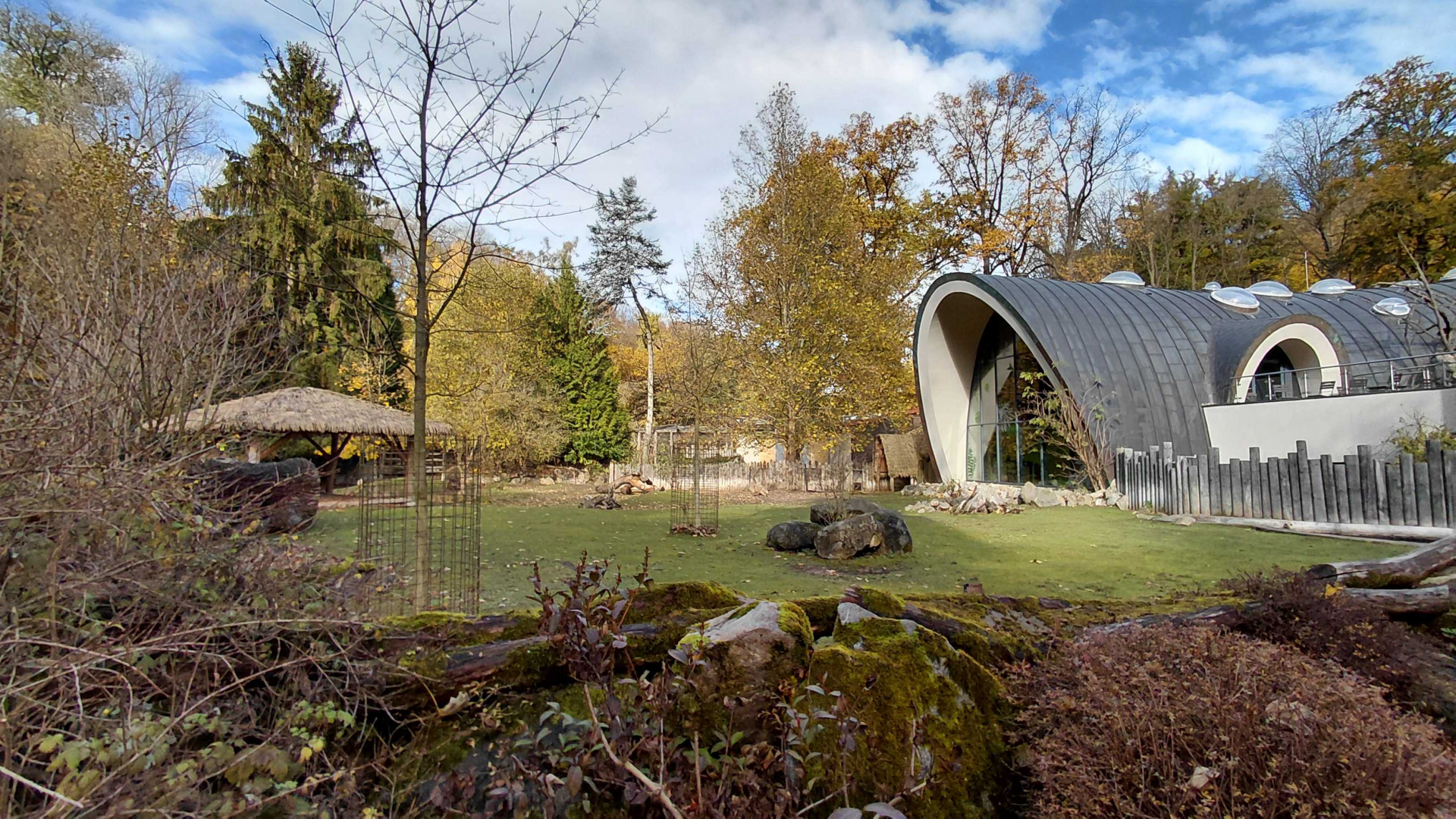Tapir + capybara outdoor exhibit