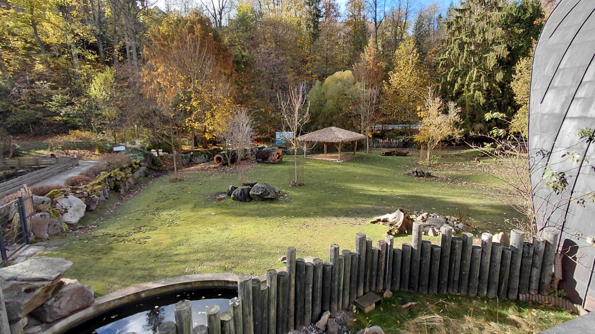Tapir + capybara outdoor exhibit