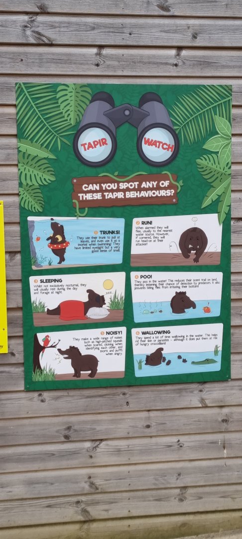 Tapir display board