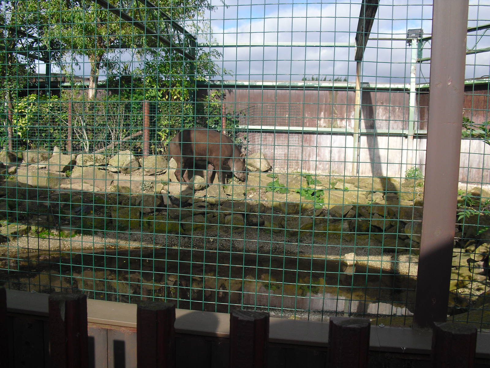 Tapir Enclosure - 16/10/2011