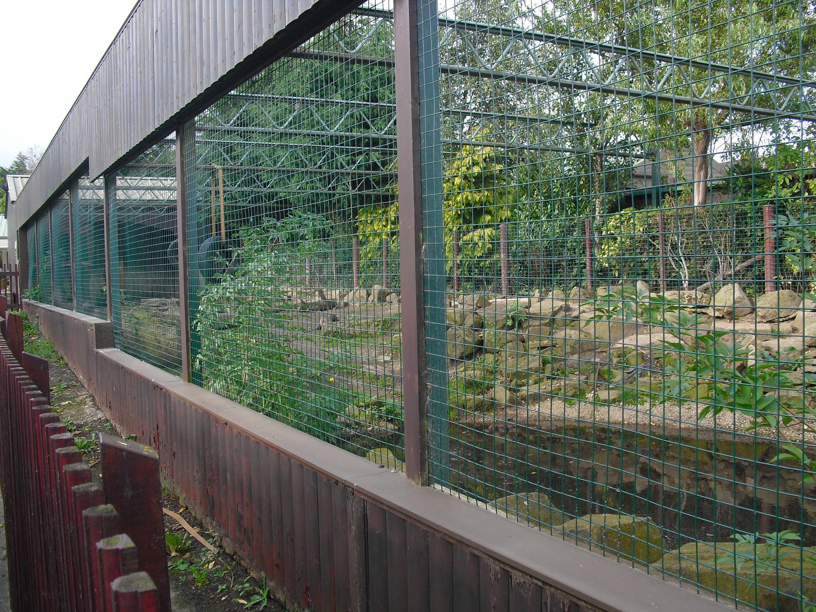 Tapir Enclosure - 16/10/2011