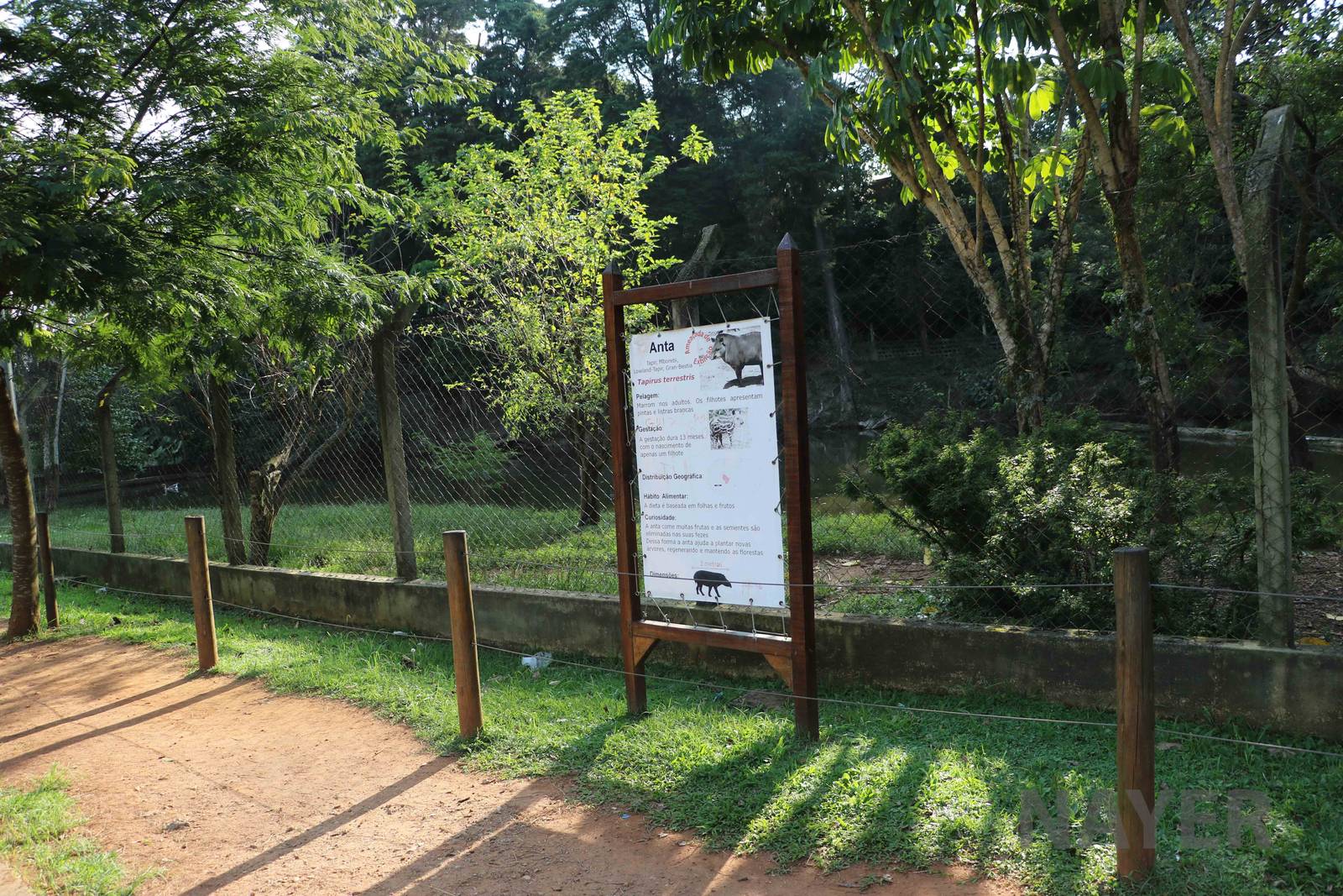 Tapir enclosure, April 2016