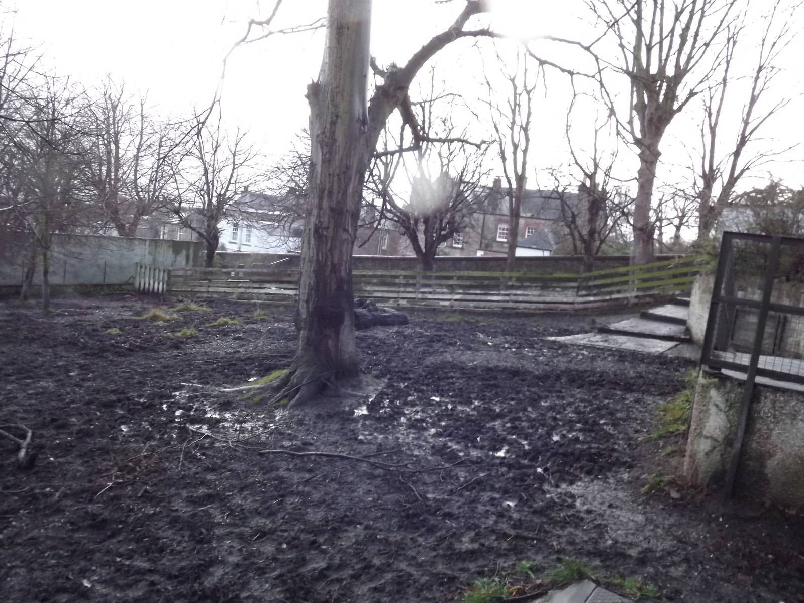 Tapir enclosure at Edinburgh Zoo 28/12/11