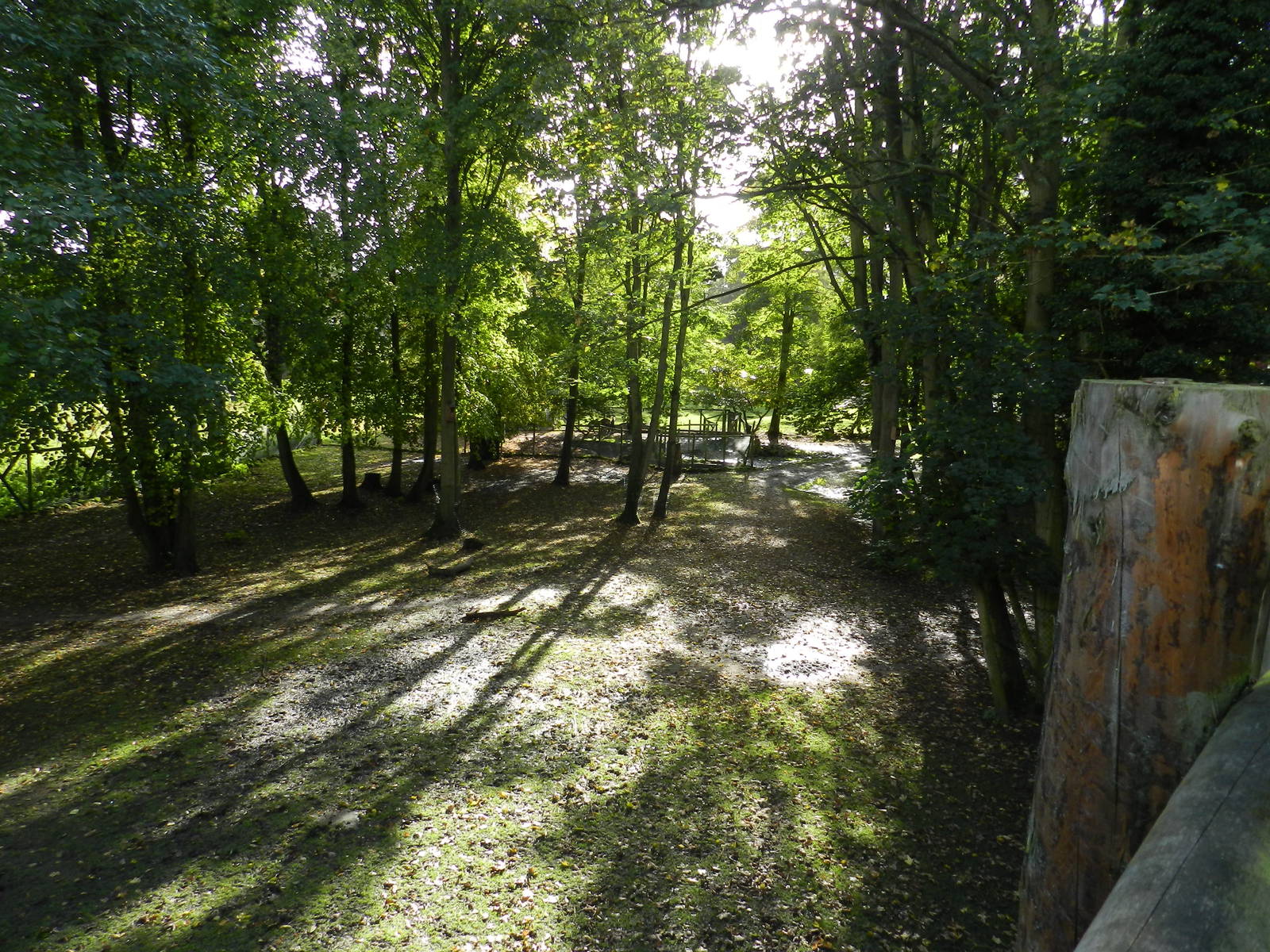 Tapir Enclosure at Flamingo Land - 14/10/2012