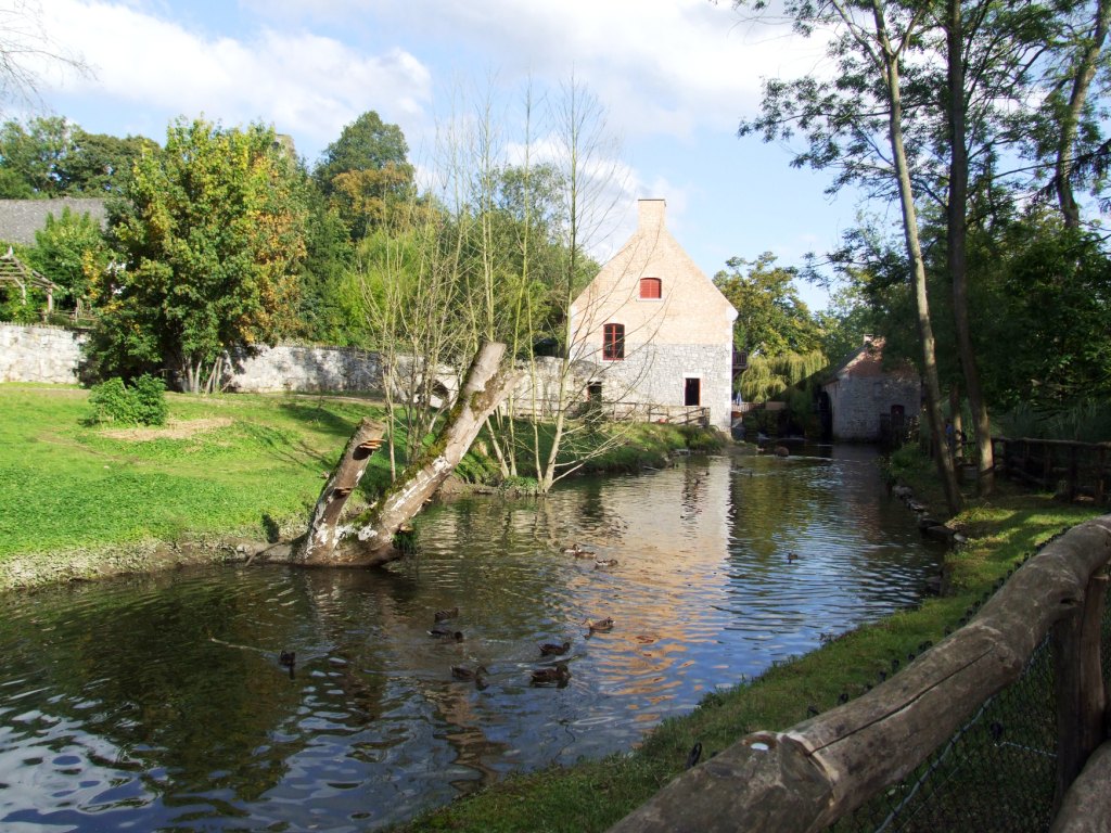 Tapir Enclosure at Pairi Daiza, 31/08/14