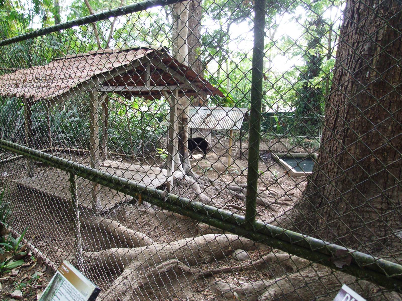 Tapir Enclosure at Zoo Simon Bolivar, 12/04/14