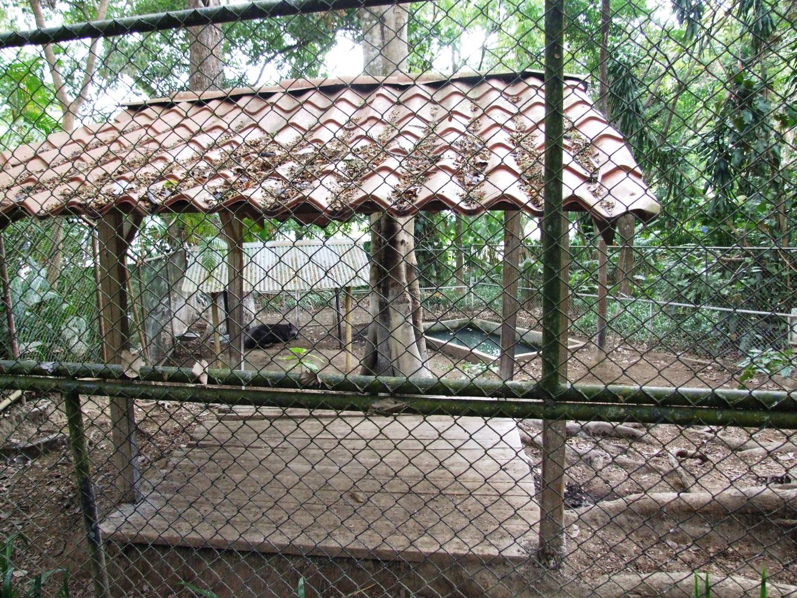 Tapir Enclosure at Zoo Simon Bolivar, 12/04/14