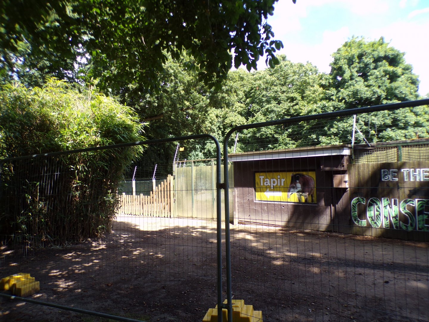 Tapir enclosure closed off 7.7.24