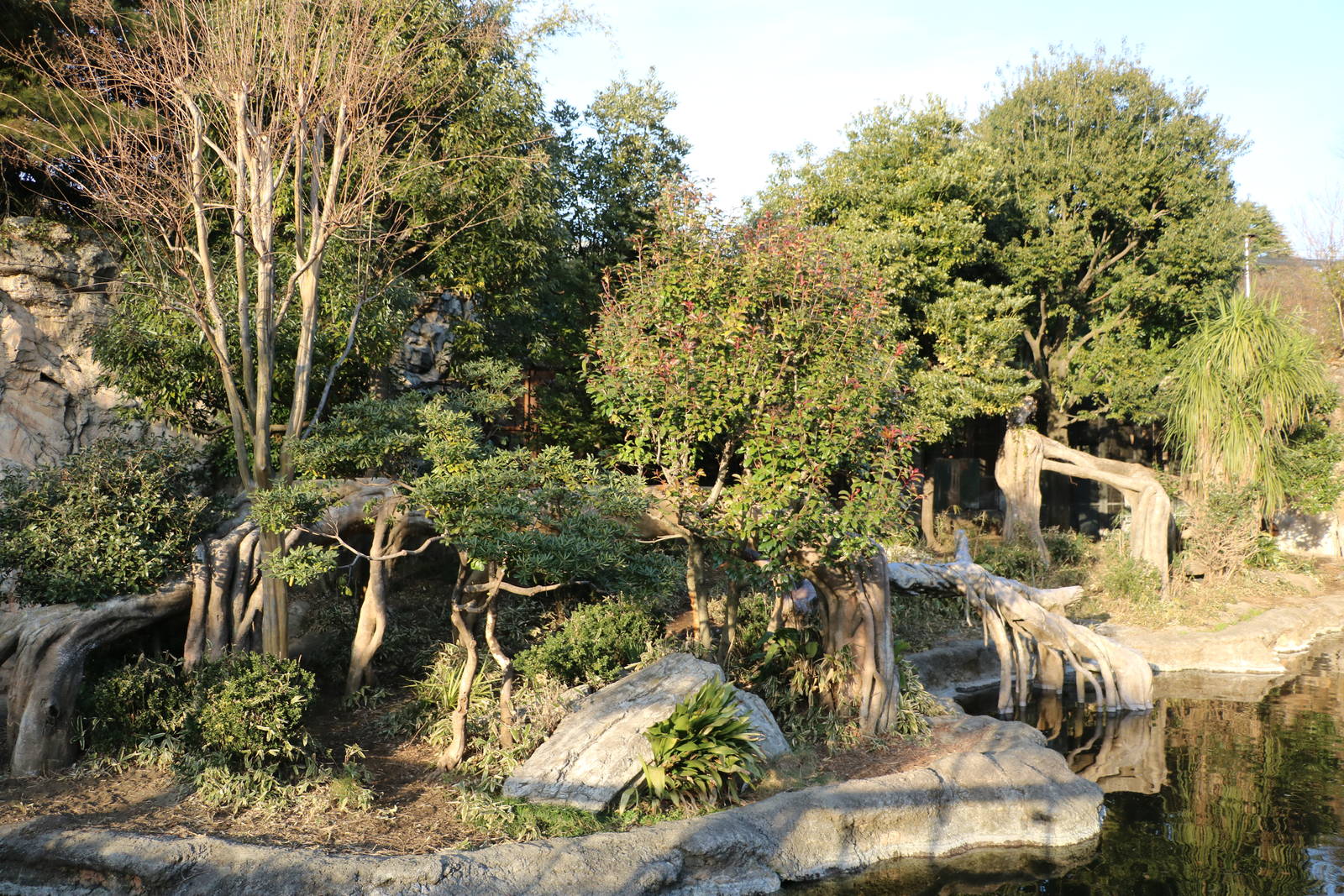 Tapir enclosure, February 2016