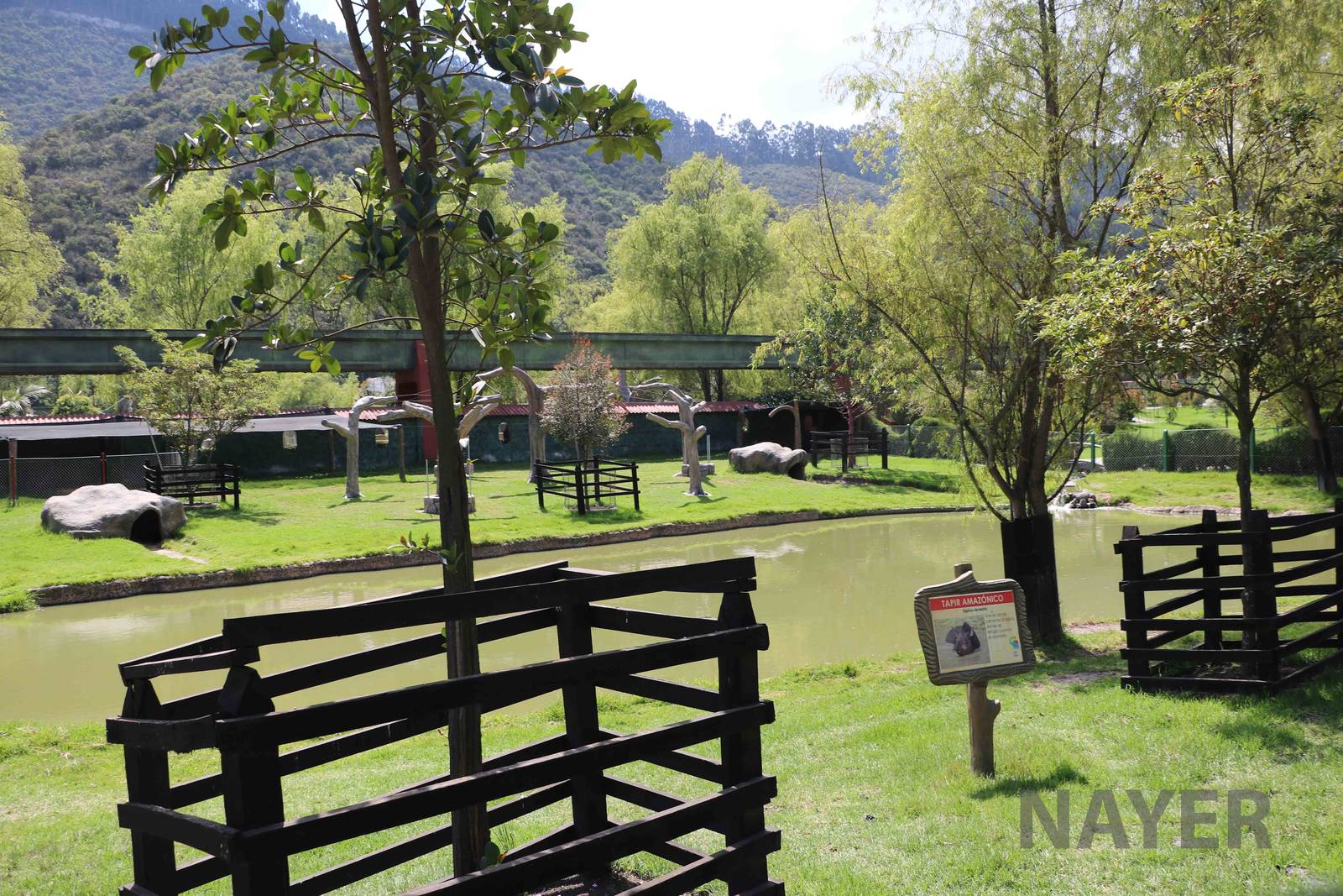 Tapir enclosure, March 2016