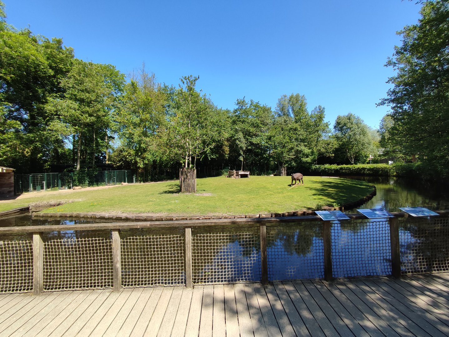 Tapir enclosure - viewing point from the platform